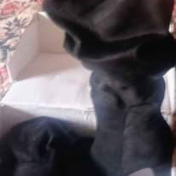 Heels - Picture 15 of 15